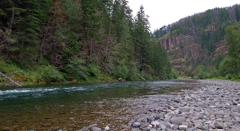 Preview photo of Clackamas Wild and Scenic River