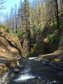 South Fork Clackamas Wild and Scenic River 
