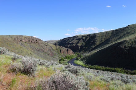 Powder Wild and Scenic River