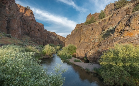 North Fork Owyhee Wild and Scenic RiverNorth Fork Owyhee Wild and Scenic River near Three Forks